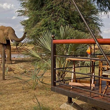 Ashnil Samburu Camp Hotel Exterior photo