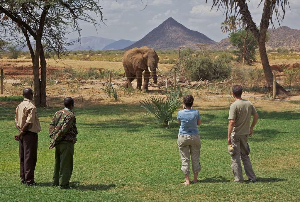 Ashnil Samburu Camp Hotel Exterior photo