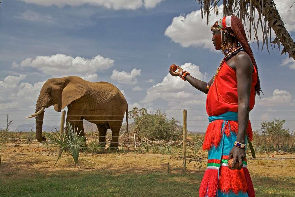 Ashnil Samburu Camp Hotel Facilities photo