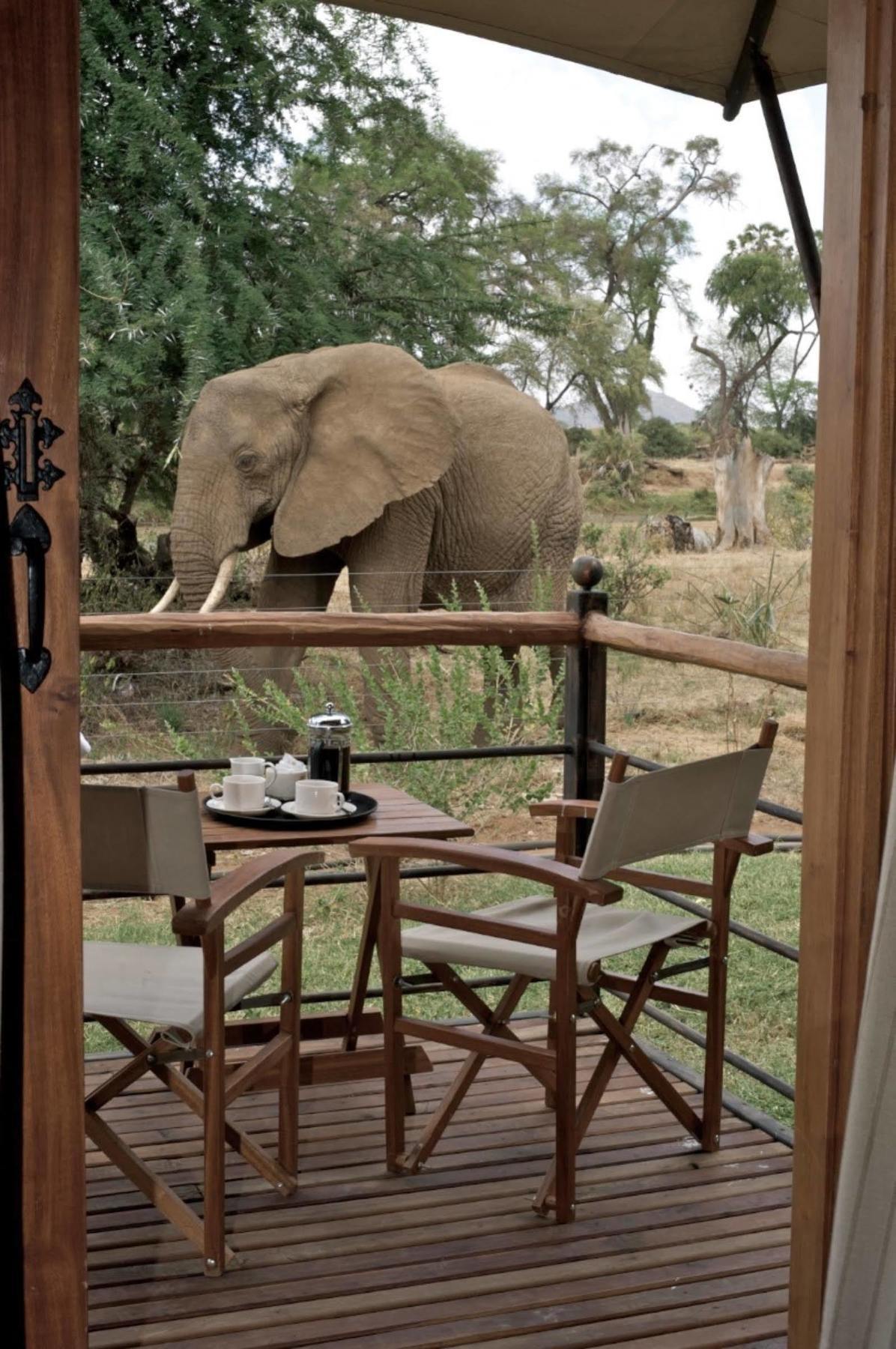 Ashnil Samburu Camp Hotel Exterior photo